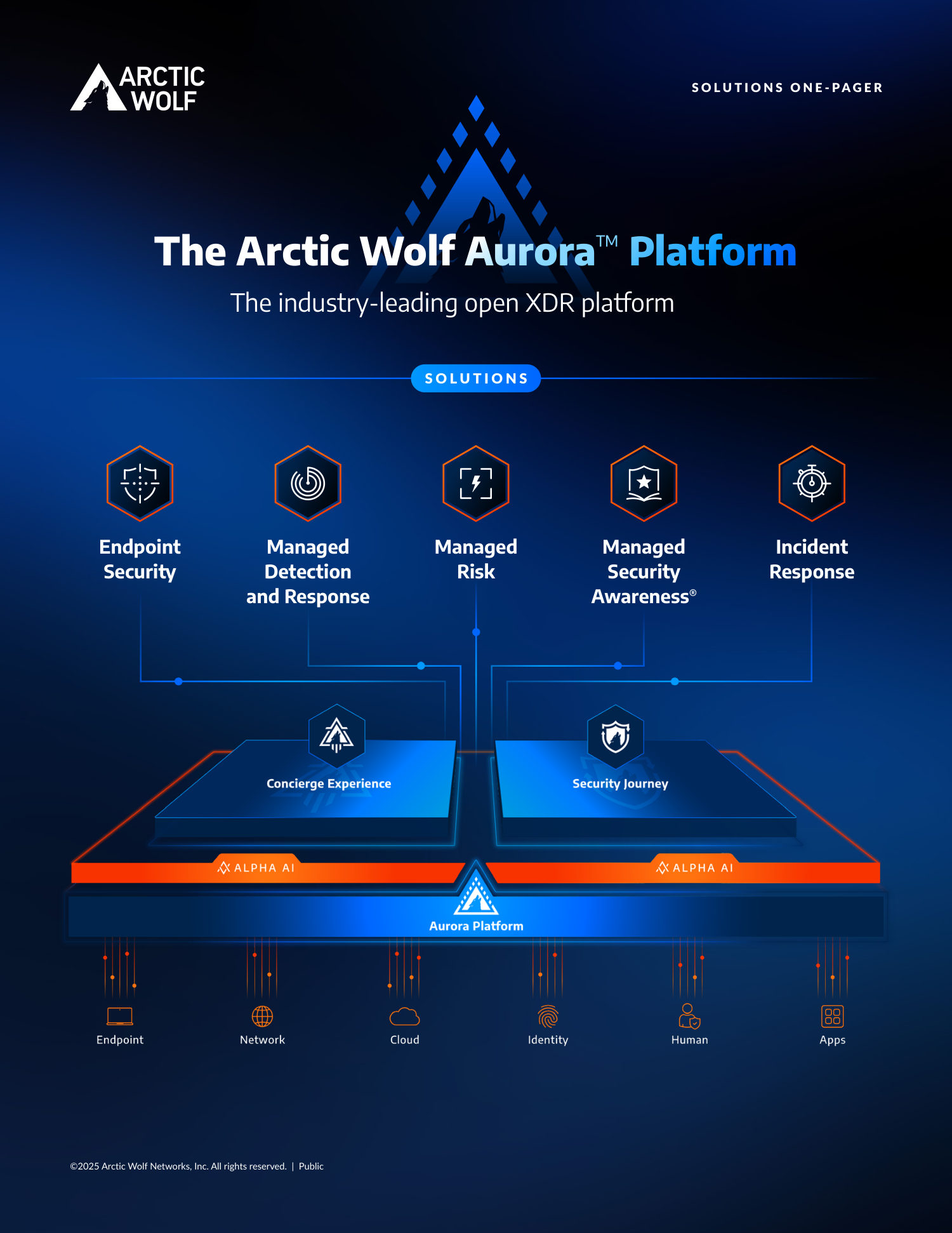 Arctic Wolf Networks One Pager — page 1