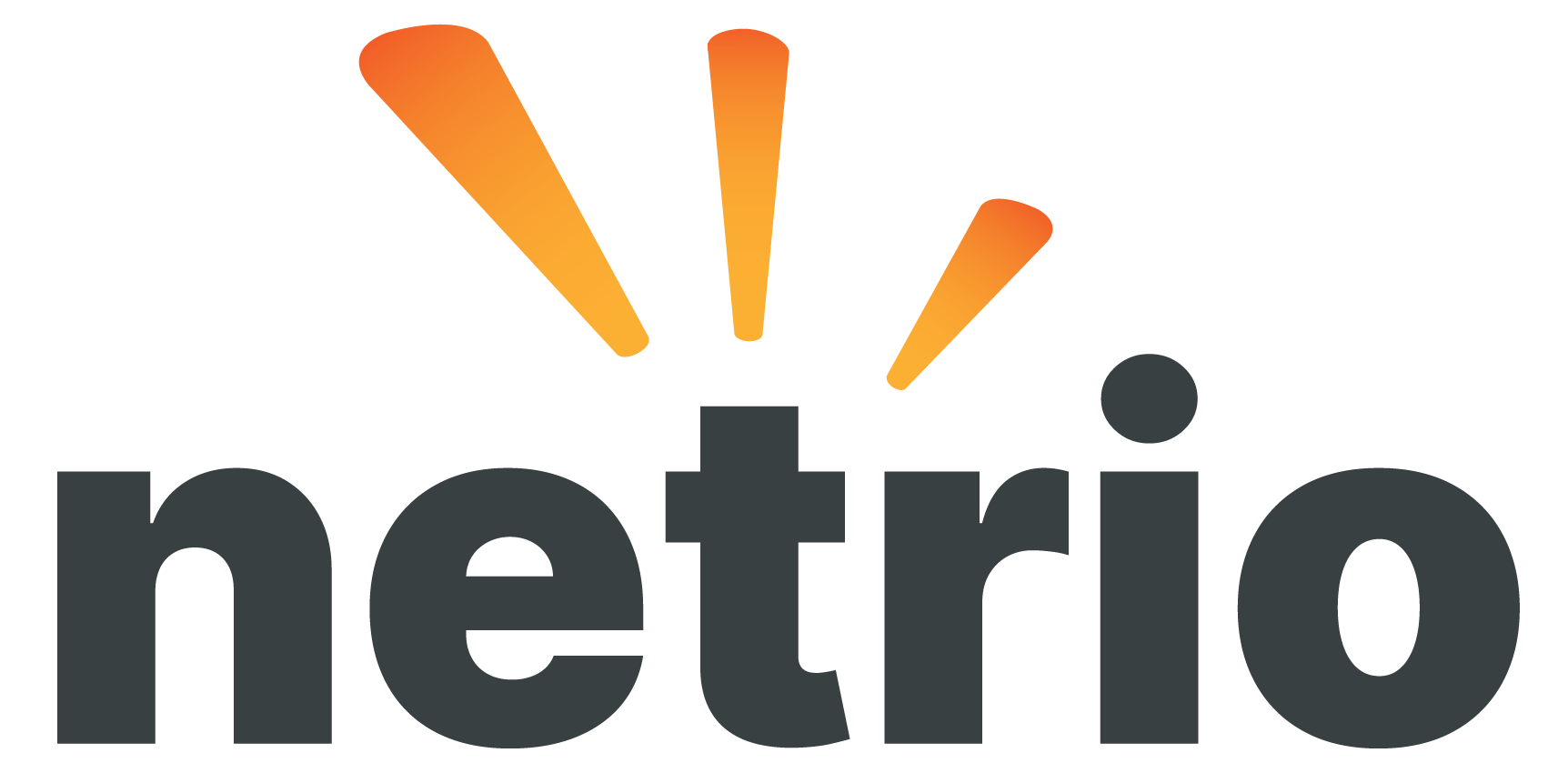 Netrio logo